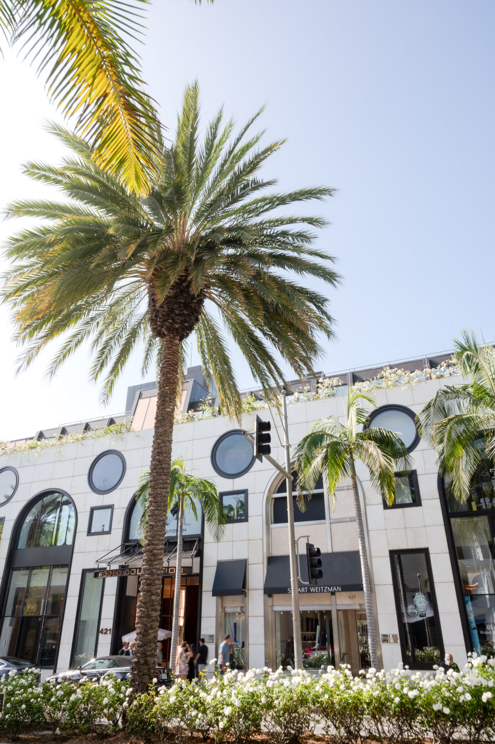 hotel-boutique-luxe-palmier-los-angeles